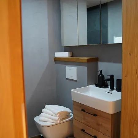 Alpenchalet Zurhinterochsenweide In&ski Out Apartment