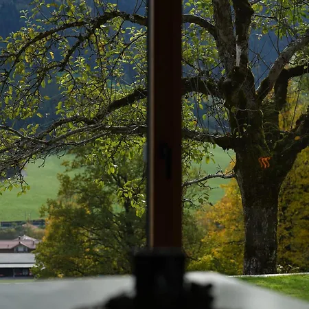 Alpenchalet Zurhinterochsenweide In & Out * Brixen im Thale